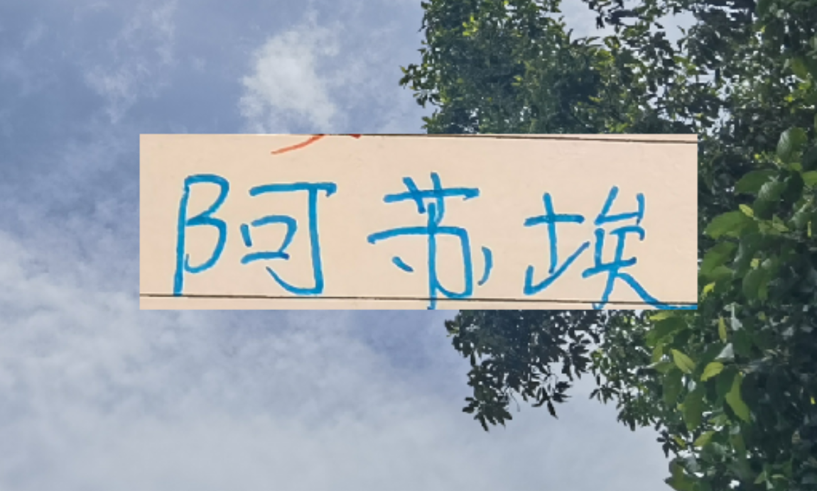 熊猫体育-还差一个外援！到时候是阿苏埃出现 还是申花新的大鱼上岸？